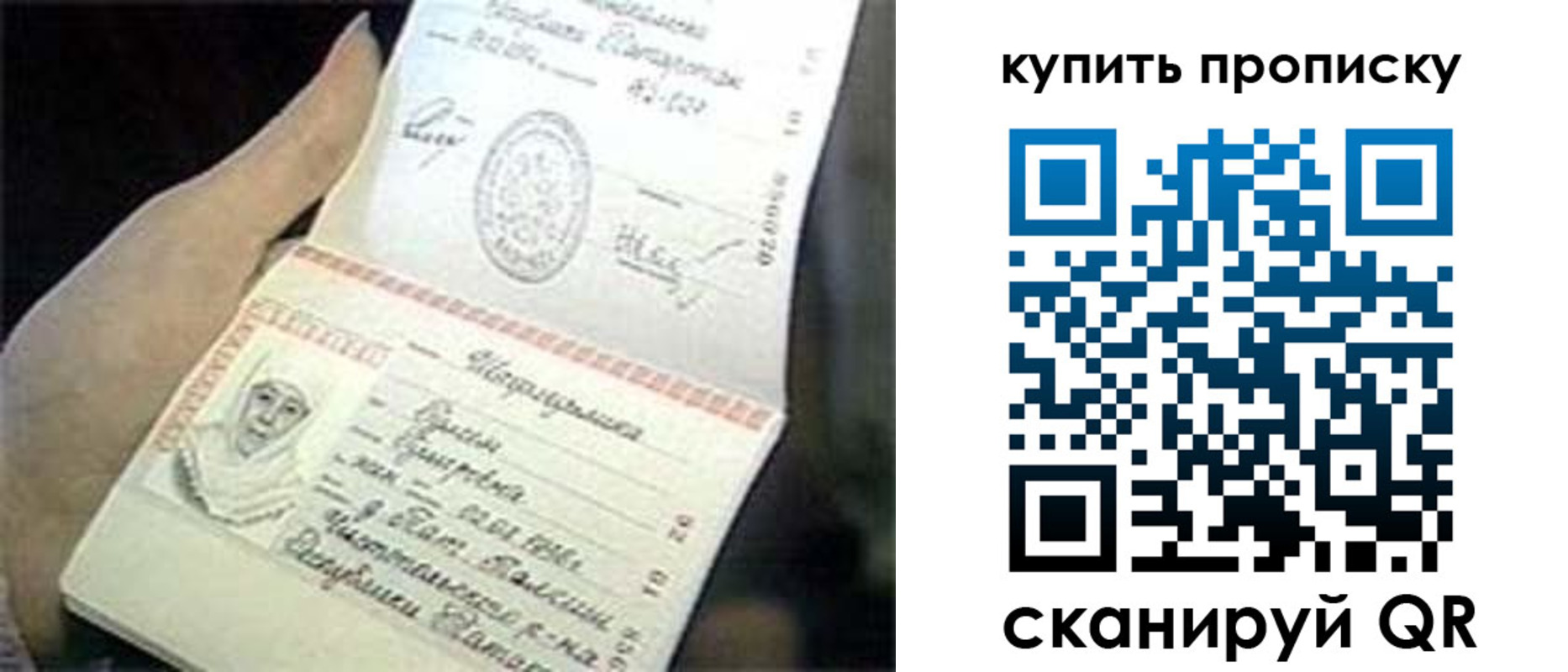 прописка поиск в Шумихе