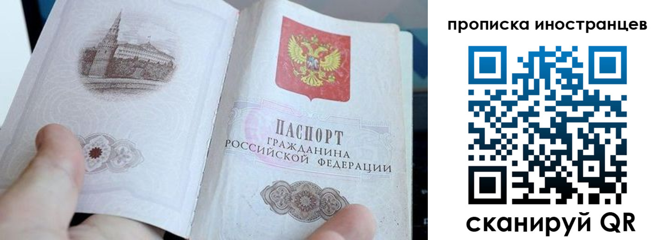 прописка законно в Шумихе
